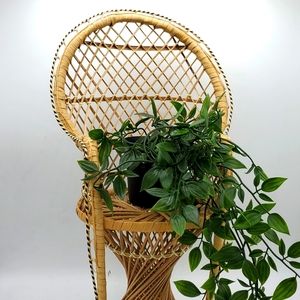 Vintage wicker peacock plant chair